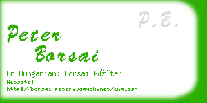 peter borsai business card